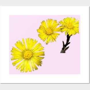 Spring flowers Posters and Art